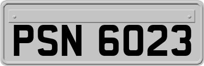 PSN6023