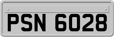 PSN6028