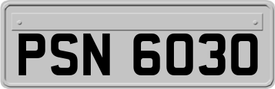 PSN6030