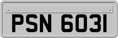 PSN6031