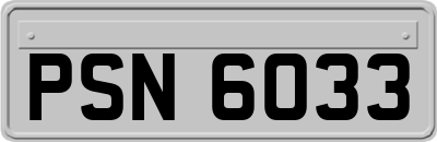 PSN6033