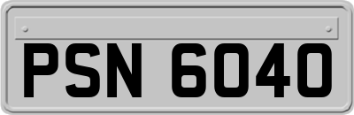 PSN6040