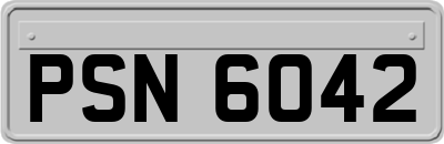 PSN6042