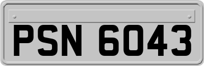 PSN6043