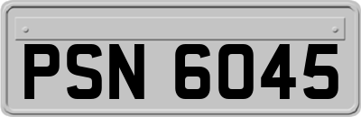 PSN6045
