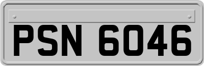 PSN6046