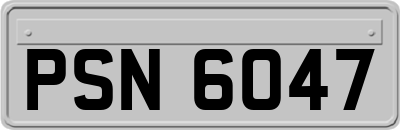 PSN6047