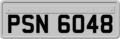 PSN6048