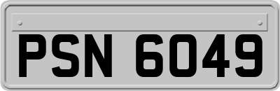 PSN6049