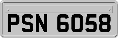 PSN6058