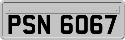 PSN6067