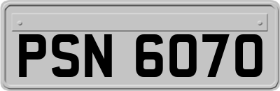 PSN6070