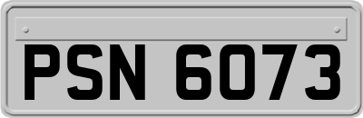 PSN6073