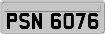 PSN6076