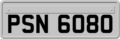 PSN6080