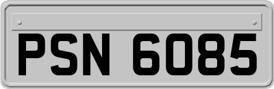 PSN6085