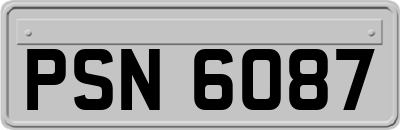 PSN6087