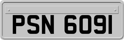 PSN6091