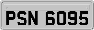 PSN6095