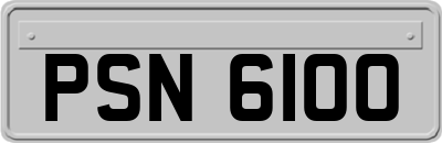 PSN6100