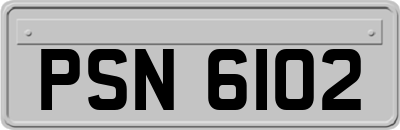 PSN6102