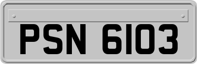 PSN6103
