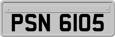 PSN6105