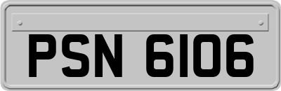PSN6106