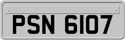 PSN6107