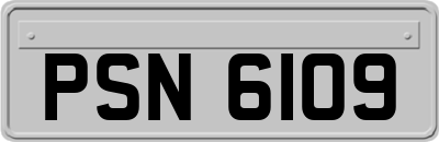 PSN6109