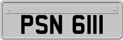PSN6111