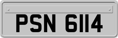 PSN6114