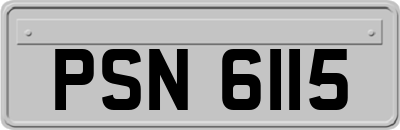 PSN6115