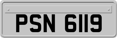 PSN6119