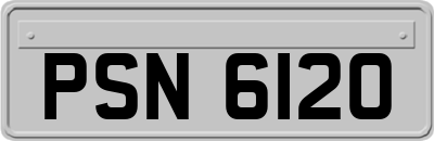 PSN6120