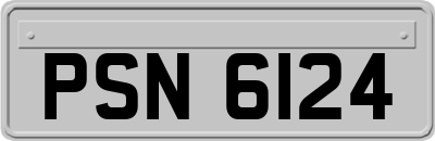 PSN6124