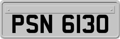 PSN6130