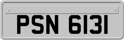 PSN6131
