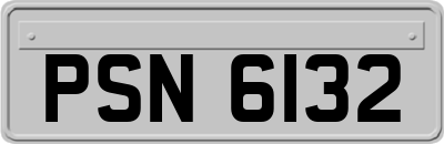 PSN6132