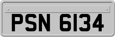 PSN6134