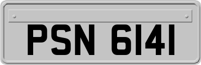 PSN6141