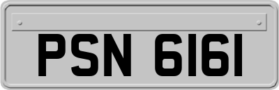 PSN6161