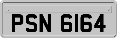 PSN6164