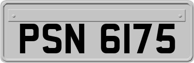 PSN6175