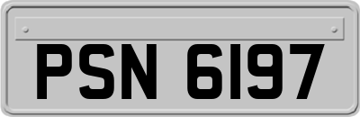 PSN6197