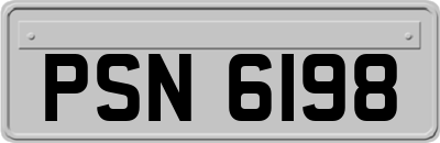 PSN6198