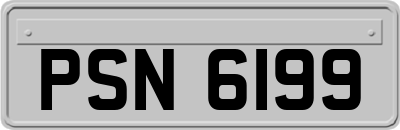PSN6199