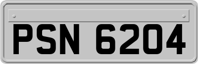 PSN6204
