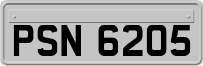 PSN6205