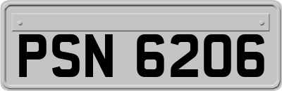 PSN6206